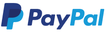 Paypal payment icon