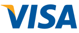 Visa payment icon